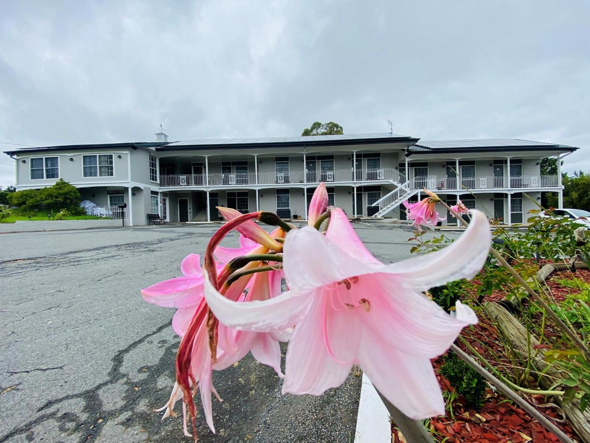 Colonial Lodge Motor Inn Ясс Экстерьер фото