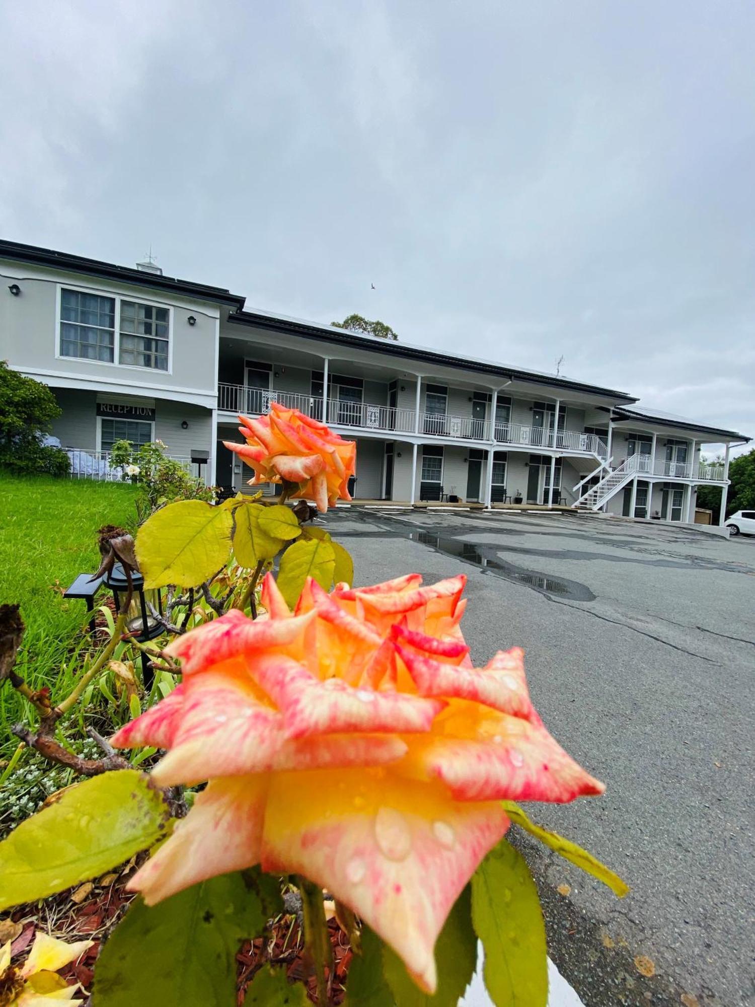 Colonial Lodge Motor Inn Ясс Экстерьер фото